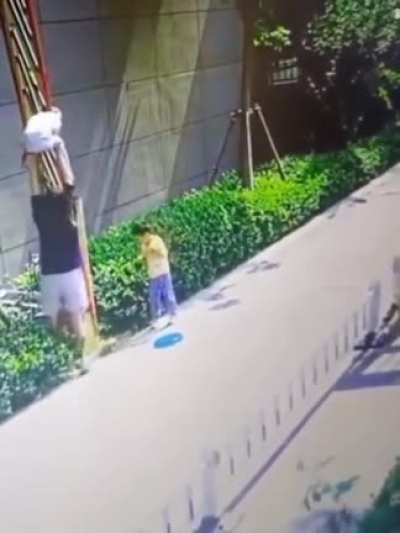 智商5