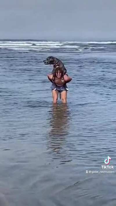 A... doggy back ride?