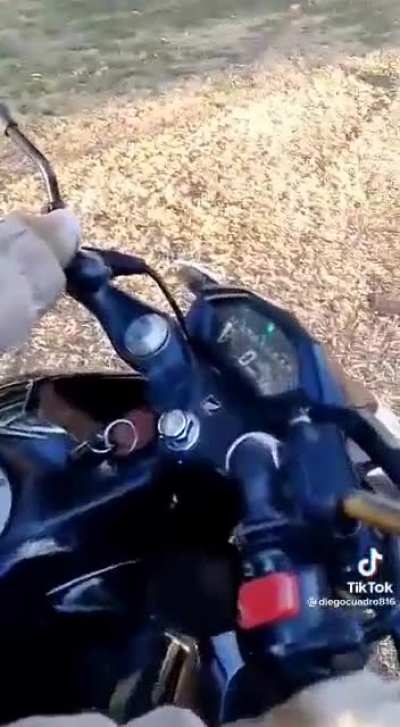 Pichicho motoquero