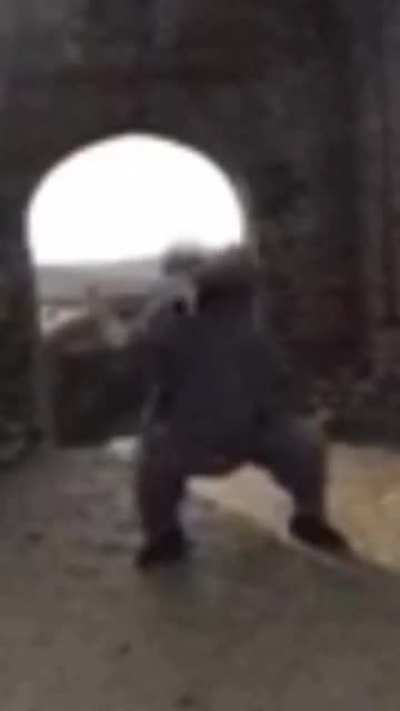 New here