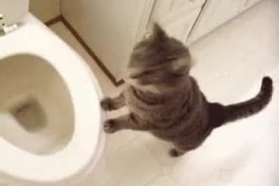 Where's it gone? WHERE?