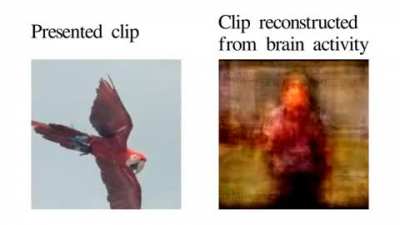 Movie reconstruction from human brain activity