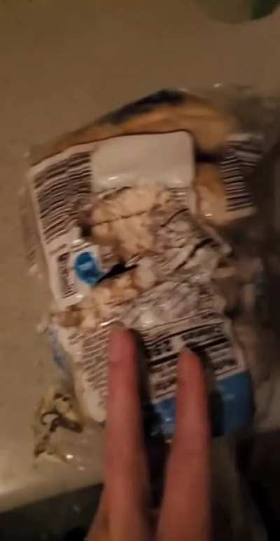 A stray cat broke into my house last night and took a bite out of every single one of my bagles