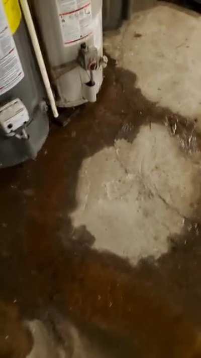 I figured out why I've been having to take cold showers for the past three days