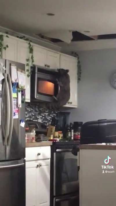 Renovations not going too well.