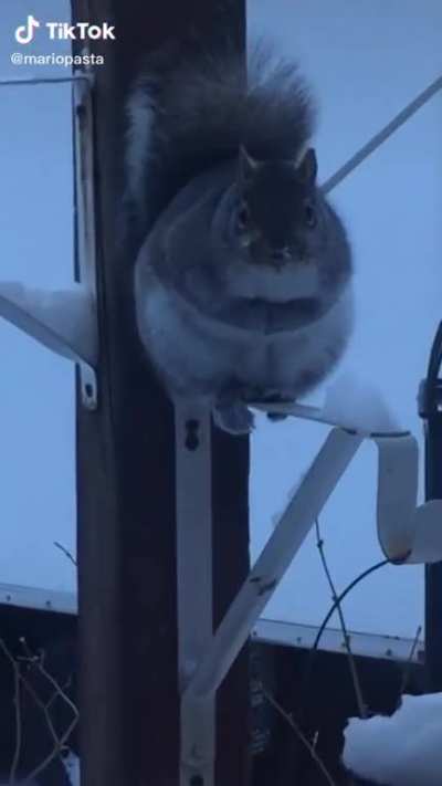 HE THICK.
