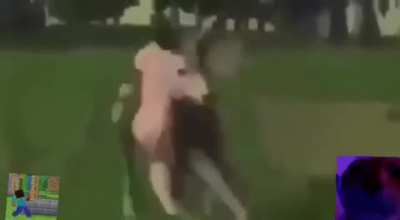 União flasco
