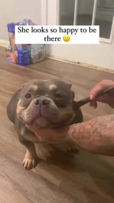 She knows she’s beautiful 🐶😂