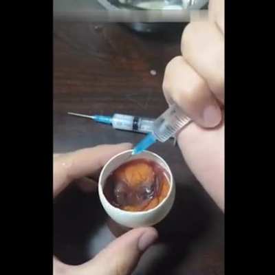 Growing a chicken in an open egg