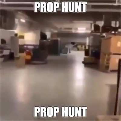 prophunt