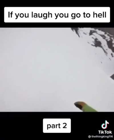 doggo go brrrrrr
