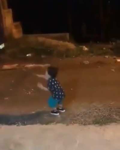 mulekinho da bivalencia caotica