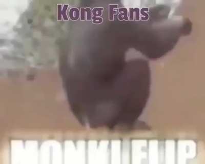 Big Monkee
