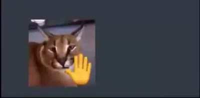 😳
