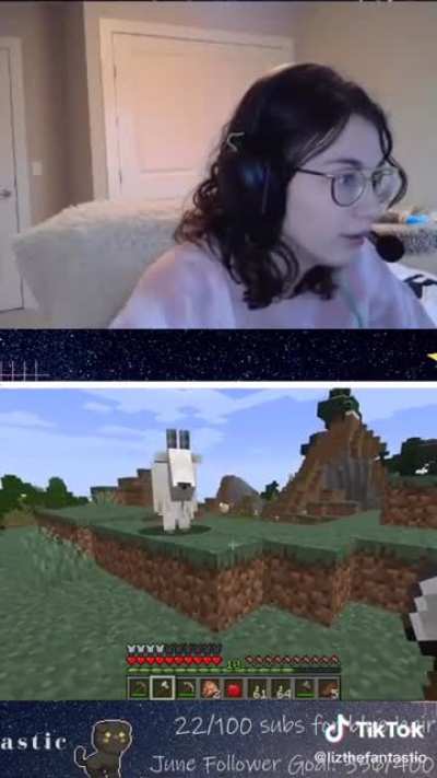 Streamer gets reminded that not all Minecraft animals are friends (via lizthefantastic on tiktok)