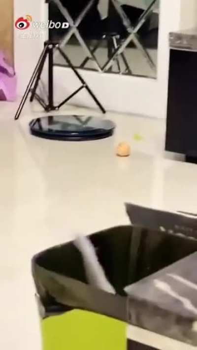Robbery Gone Wrong