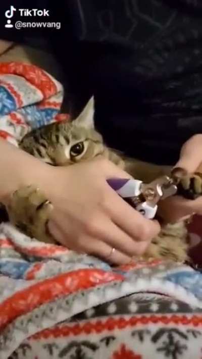 Its hard cutting cats nails sometimes