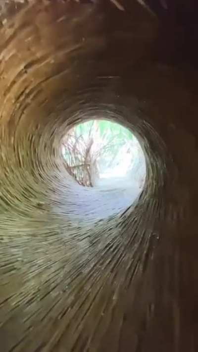 ImaginaryPathways