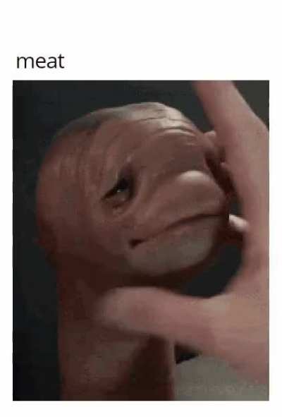 Meat