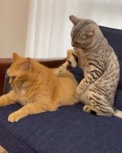 One little bite
