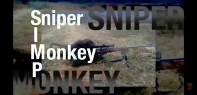 Soy un simp