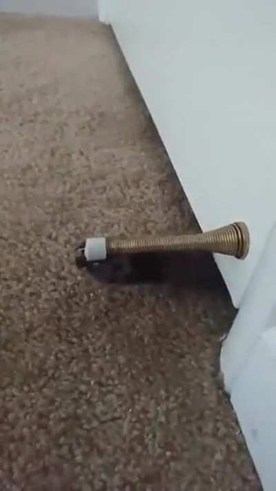 Wake up human!