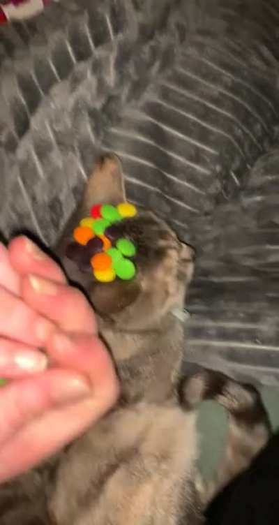 Pinot wasn’t having it