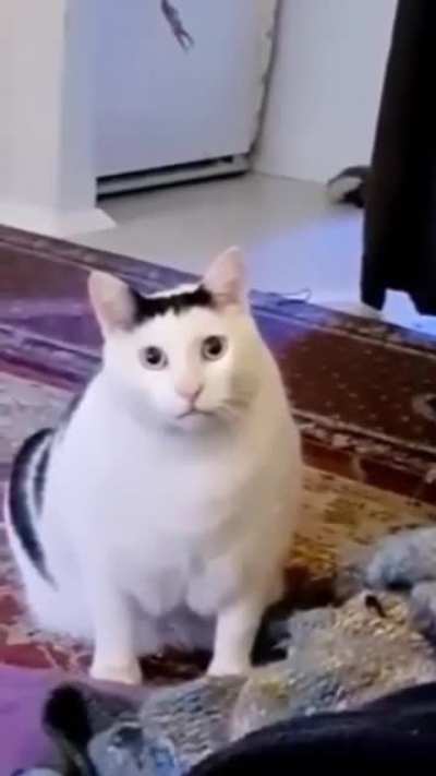 Bruh
