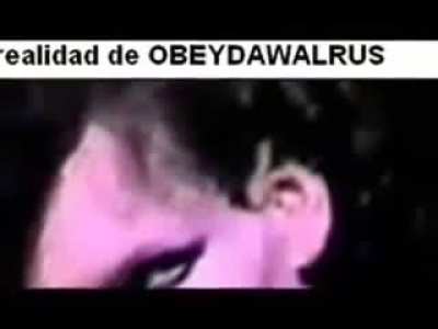 THE END OF OBEYDAWALRUS