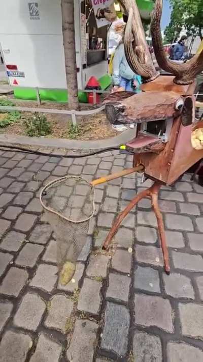 Fun and Functional