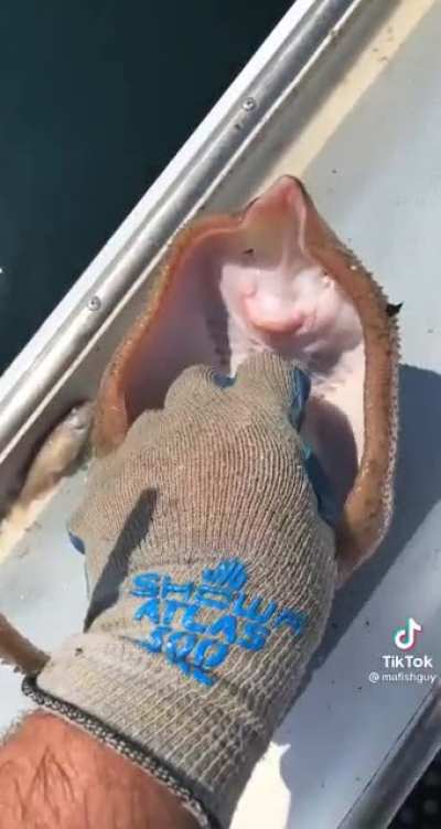 How do you tickle a fish?