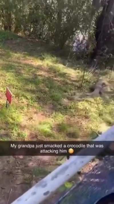 elder warrior, bane of crocodiles