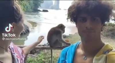 That’s why you don’t pet wild animals