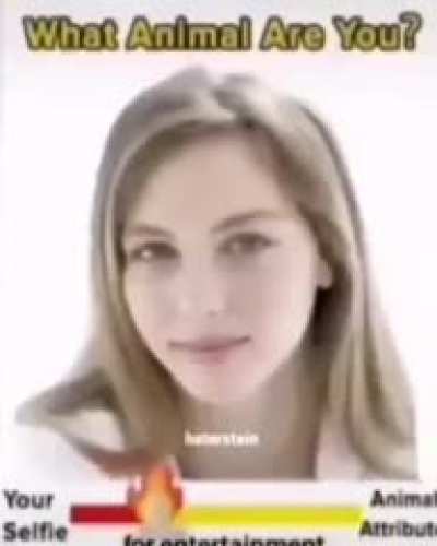 Super mario