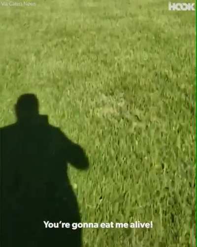 They're coming!