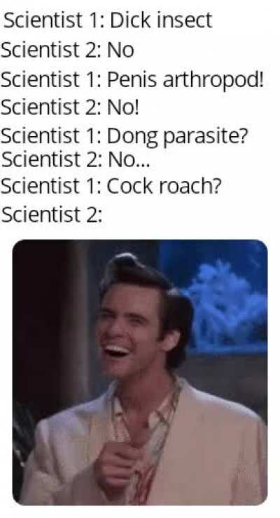 The scientists were high or sth?