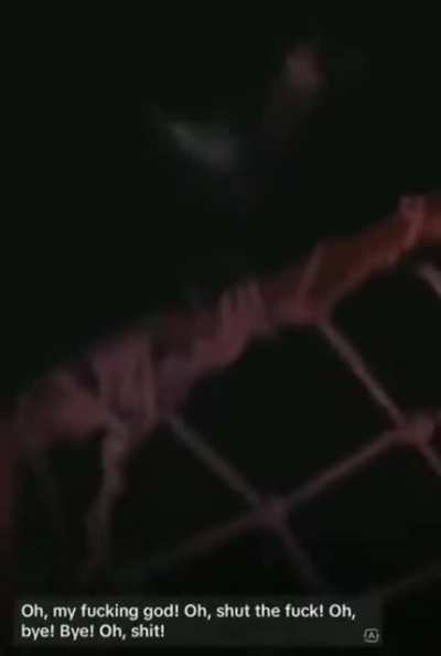 What was he thinking? 18 year old jumped off a cruise ship in the Bahamas pitch black waters as a dare. he has still not been found and the search has been called off