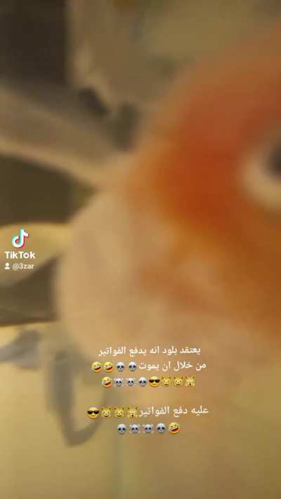 بلود ذهب الى الجنه<wbr>🤣🤣💀💀