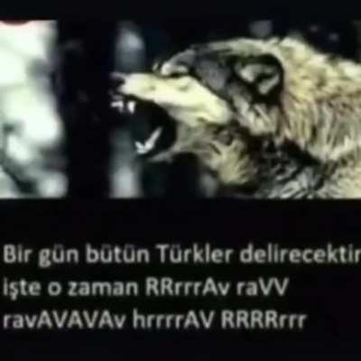 Türk olunca benim surad