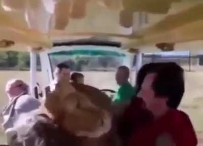 Thats a New Wildlife Experience
