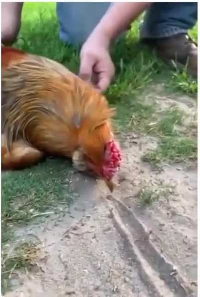 How did he even...