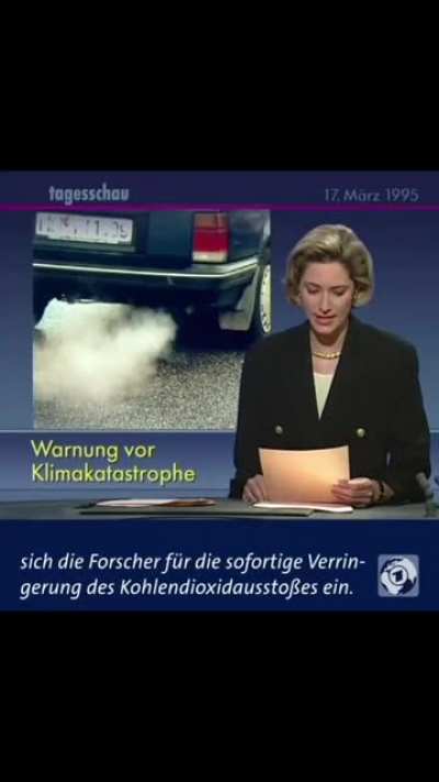 Ich_iel