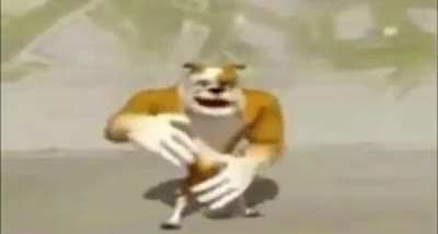 Hog Ridaaa