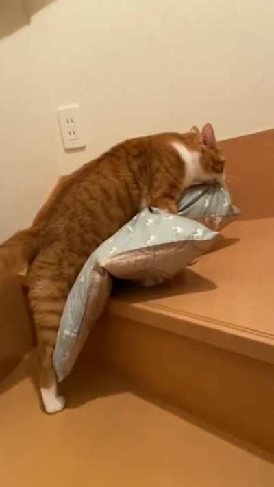 Time to sleep