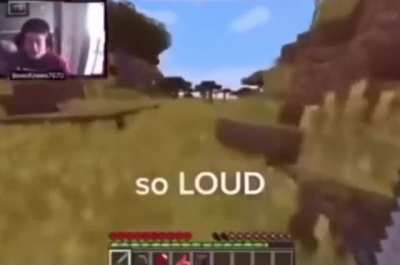 sheep