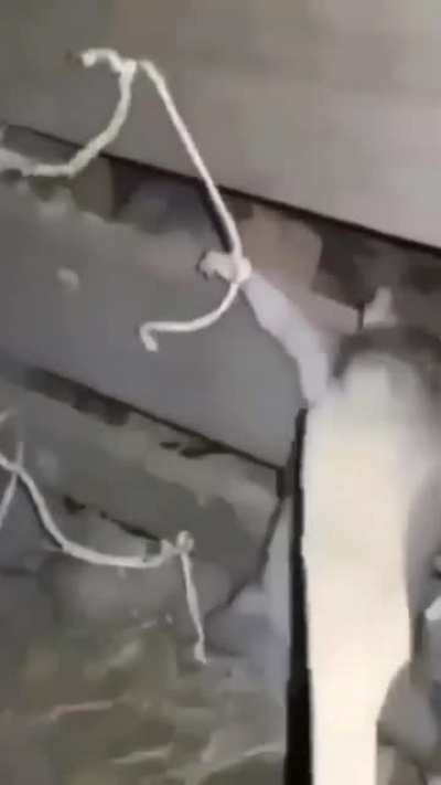♿