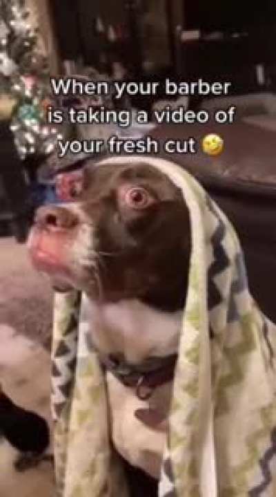 I see so many of these.