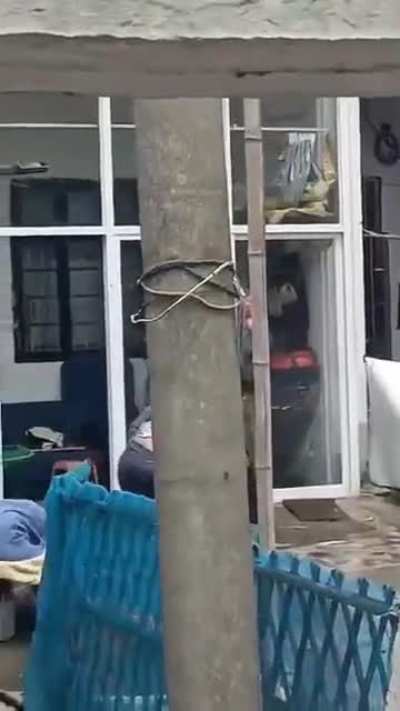 neibours fighting by throwing buckets of shit