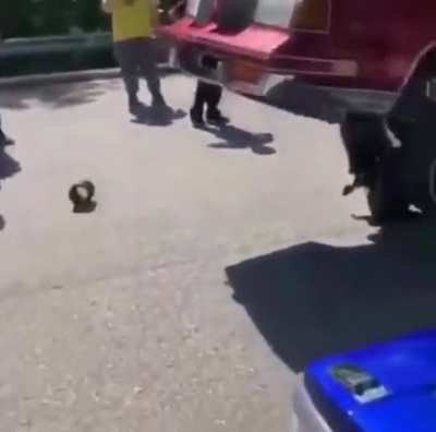 Idiot bouncing