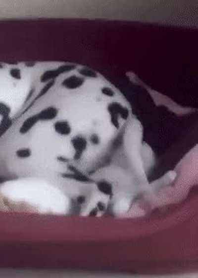 to cuddle up